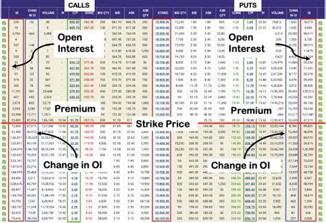 cgc option chain